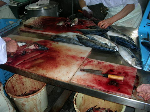 DSCN4357.jpg