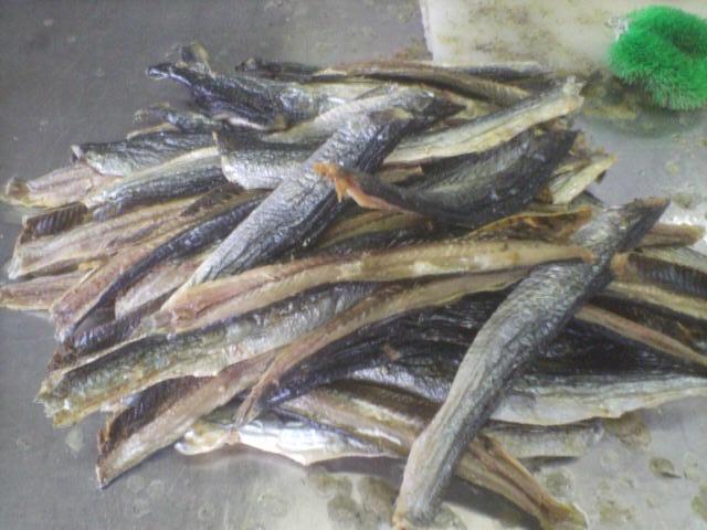 butta-2009-02-13T13_47_02-1.jpg