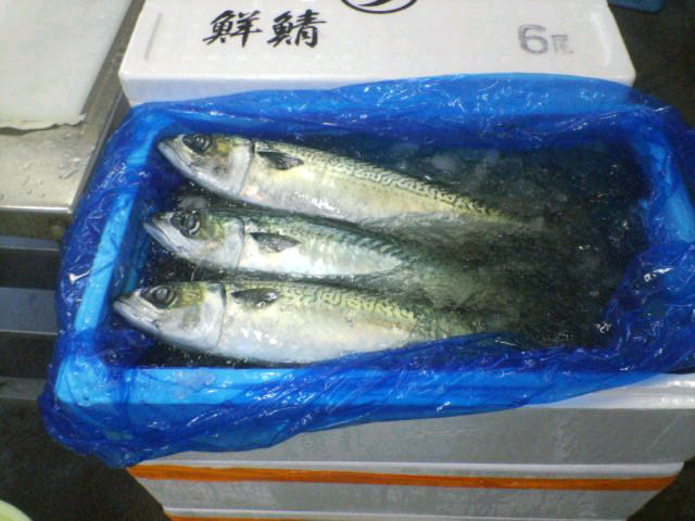 20090709093323.jpg