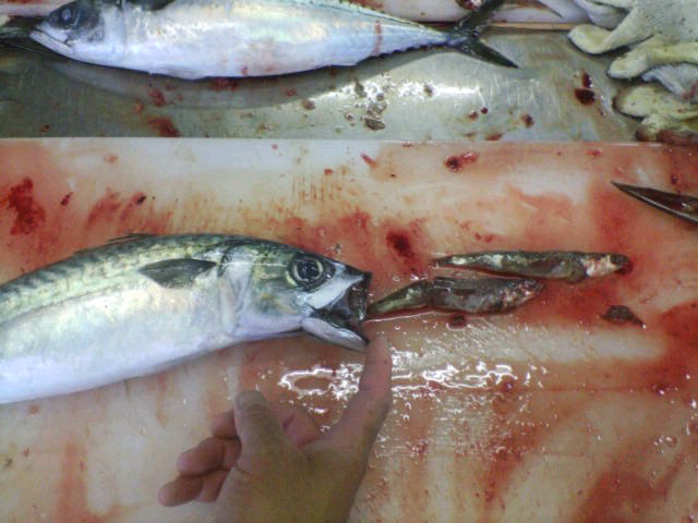20090709102314.jpg